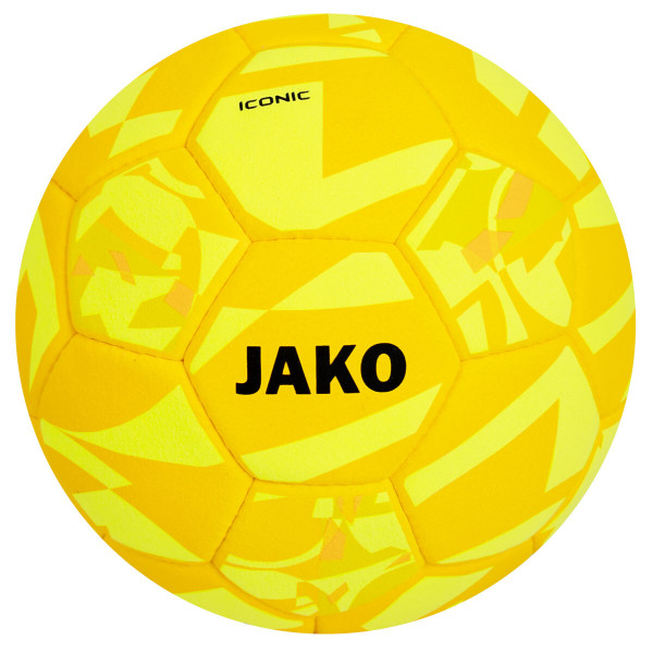 Indoorball Iconic