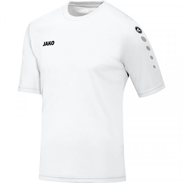 Trikot Team KA Herren