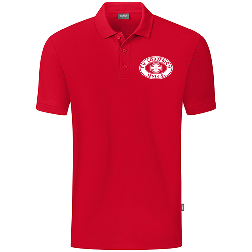 TV Lobberich Polo