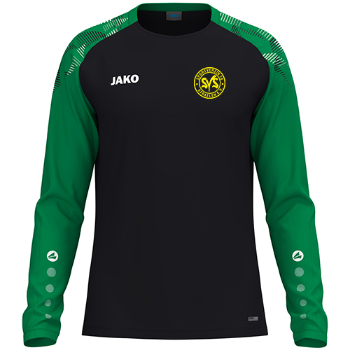 SV 19 Straelen Longsleeve Sonic KIDS